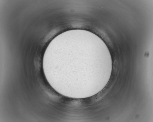 X0000090700116200708171854