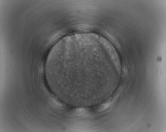 X0000090700117200708171854