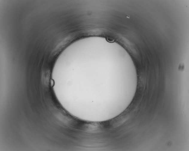 X0000090700118200708171854