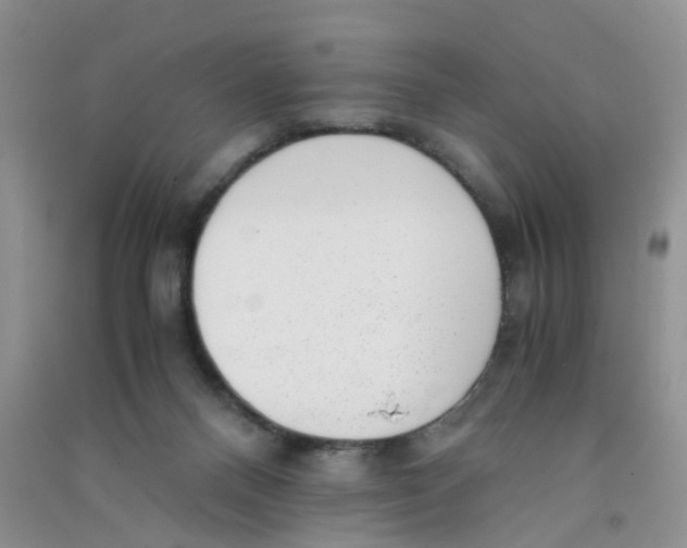 X0000090700120200708171854