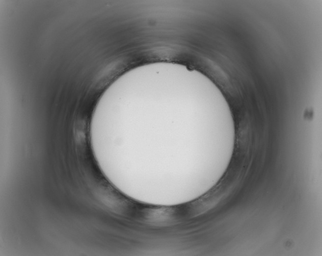 X0000090700122200708171854