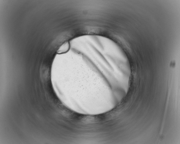 X0000090700123200708171854