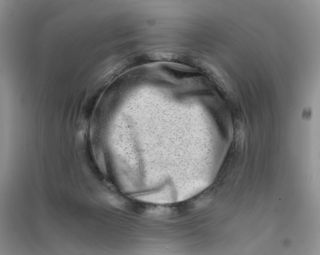 X0000090700125200708171854