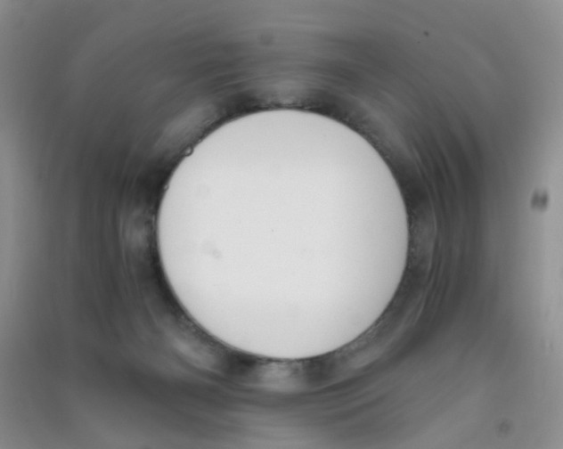 X0000090700126200708171854