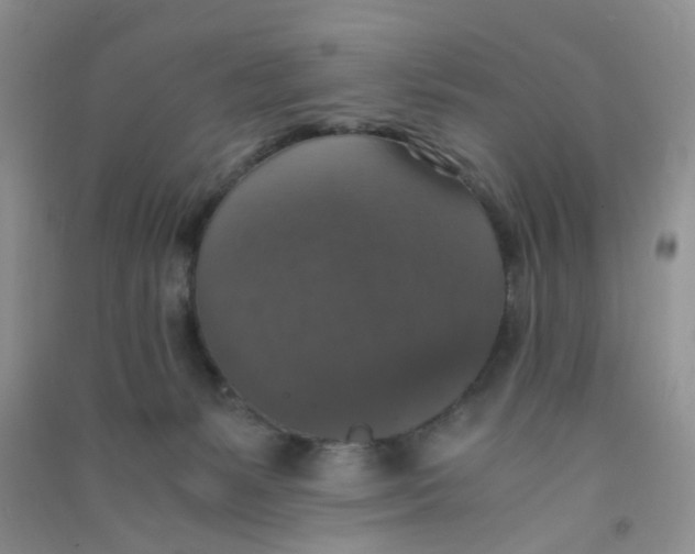 X0000090700127200708171854