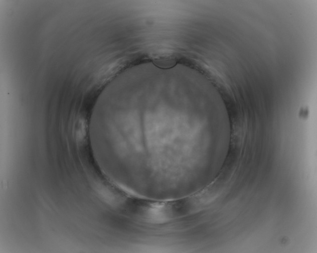 X0000090700130200708171854