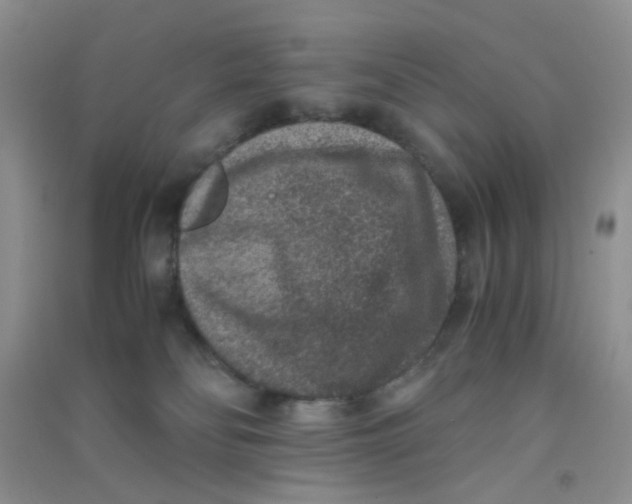 X0000090700134200708171854