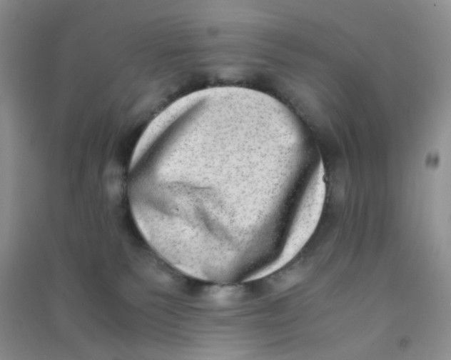 X0000090700135200708171854