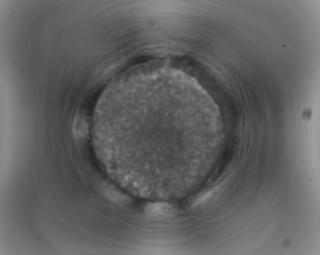 X0000090700137200708171854