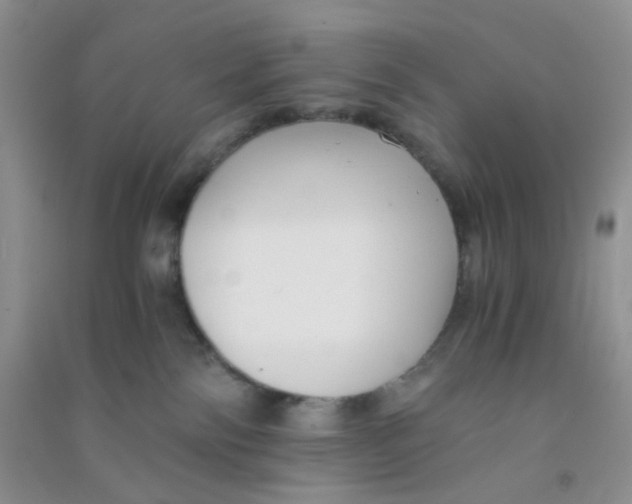 X0000090700138200708171854