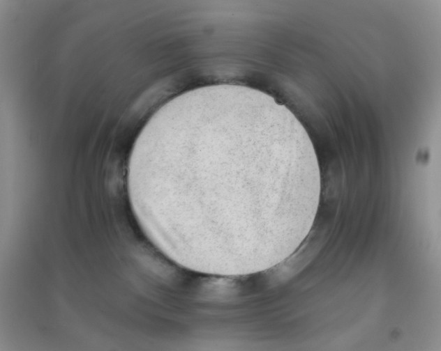 X0000090700140200708171854