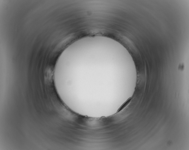 X0000090700142200708171854