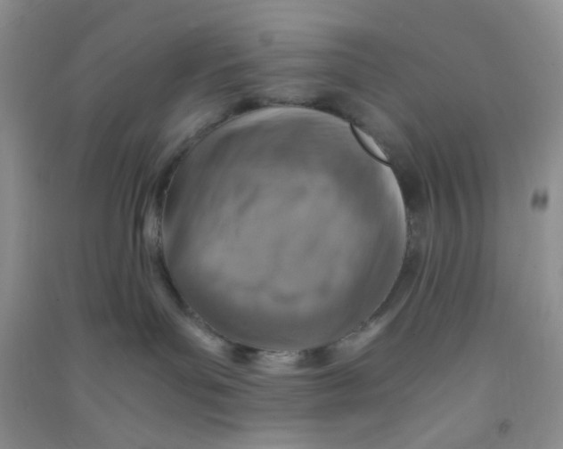 X0000090700143200708171854