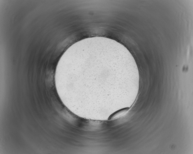 X0000090700144200708171854