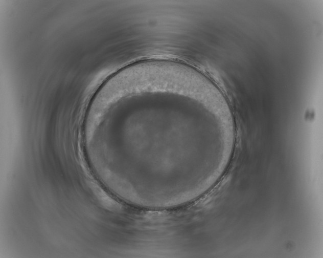 X0000090700145200708171853