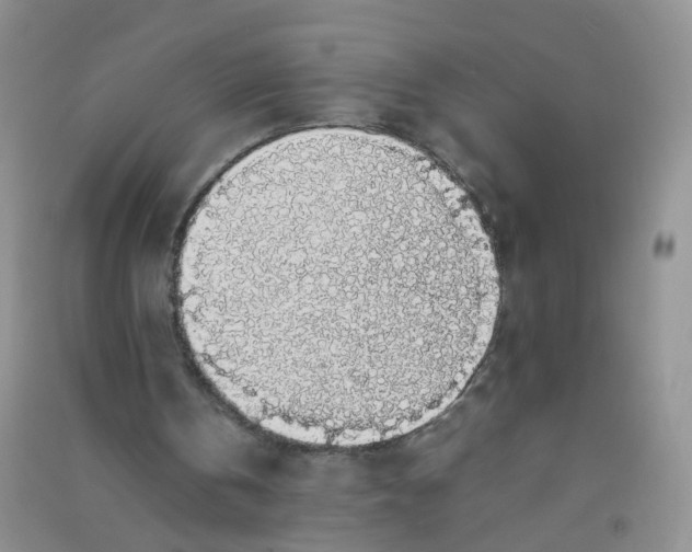 X0000090700146200708171853