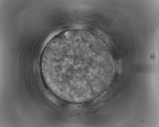 X0000090700147200708171853