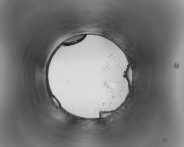 X0000090700148200708171853