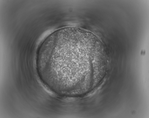 X0000090700149200708171853