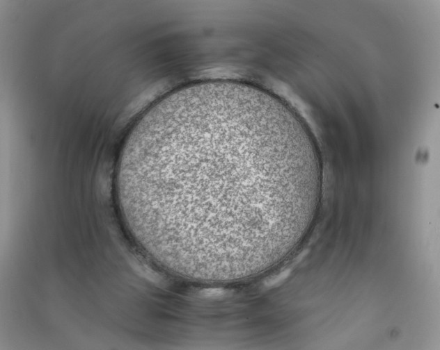 X0000090700153200708171853