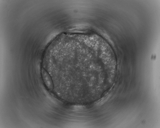 X0000090700154200708171853