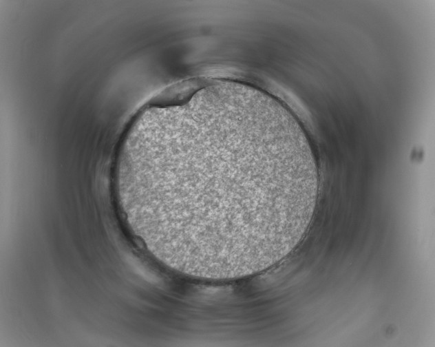 X0000090700155200708171853