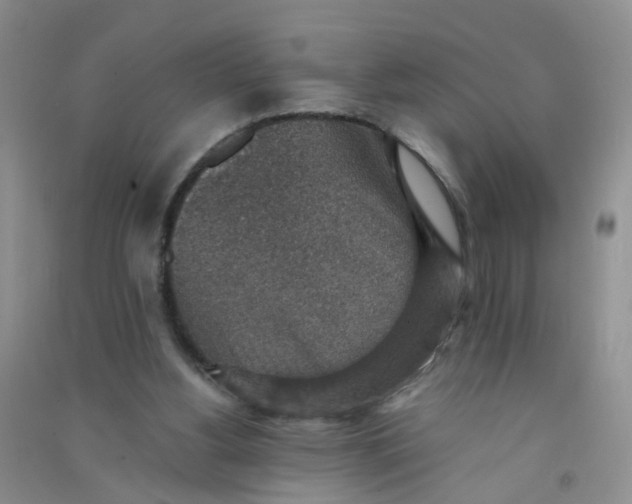 X0000090700156200708171853