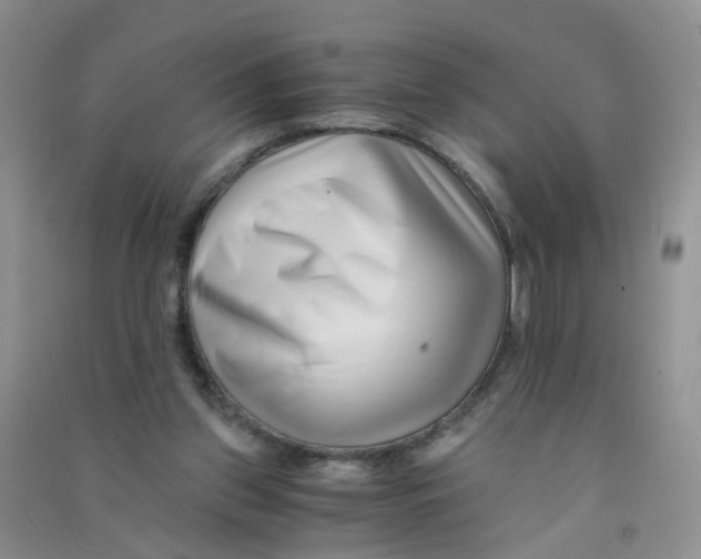 X0000090700157200708171853