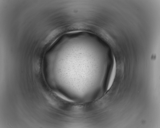 X0000090700158200708171853