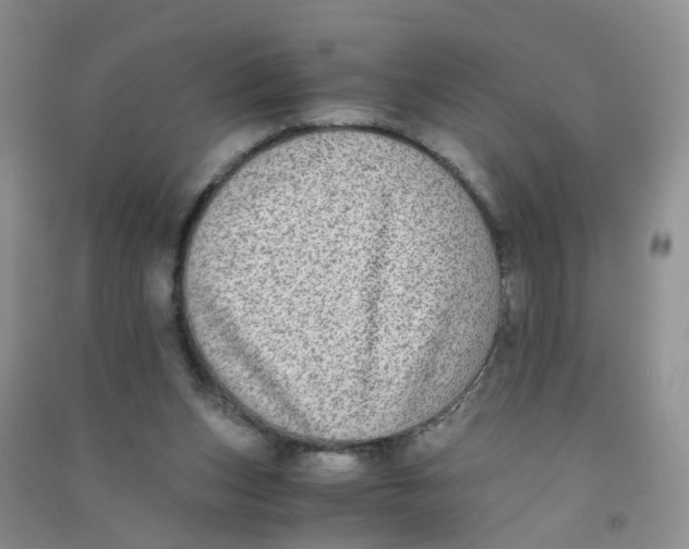 X0000090700159200708171853