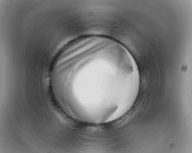 X0000090700160200708171853