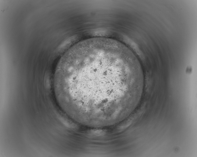 X0000090700161200708171853