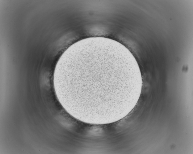 X0000090700162200708171853