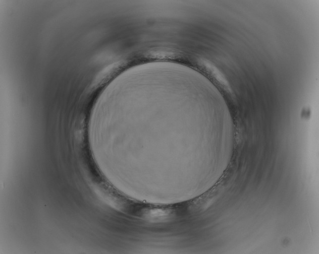 X0000090700163200708171853