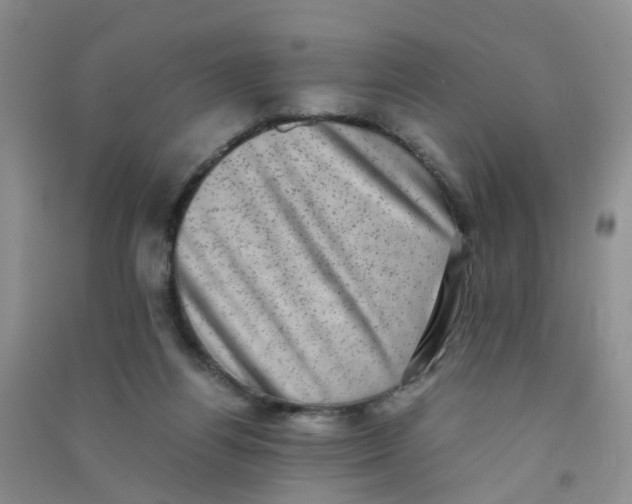 X0000090700164200708171853