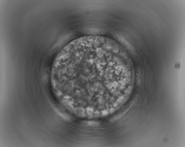 X0000090700165200708171853