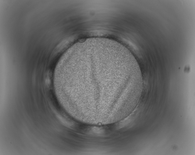 X0000090700166200708171853