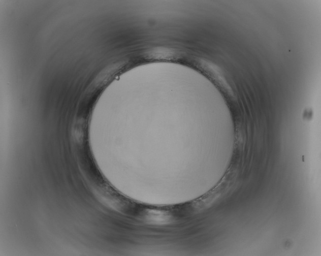 X0000090700167200708171853