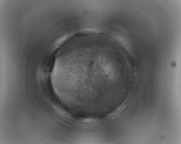 X0000090700168200708171853