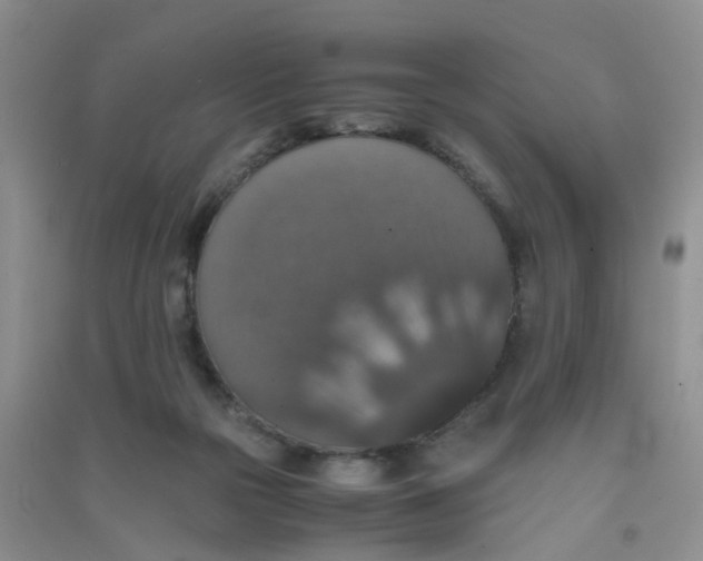 X0000090700169200708171853