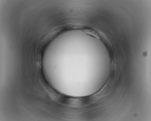 X0000090700170200708171853