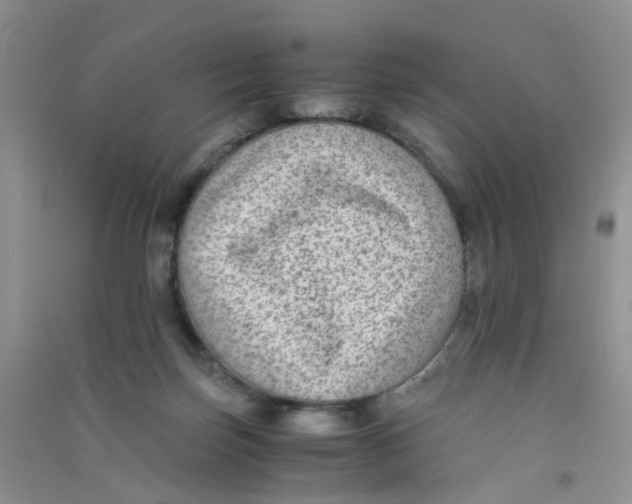 X0000090700171200708171853