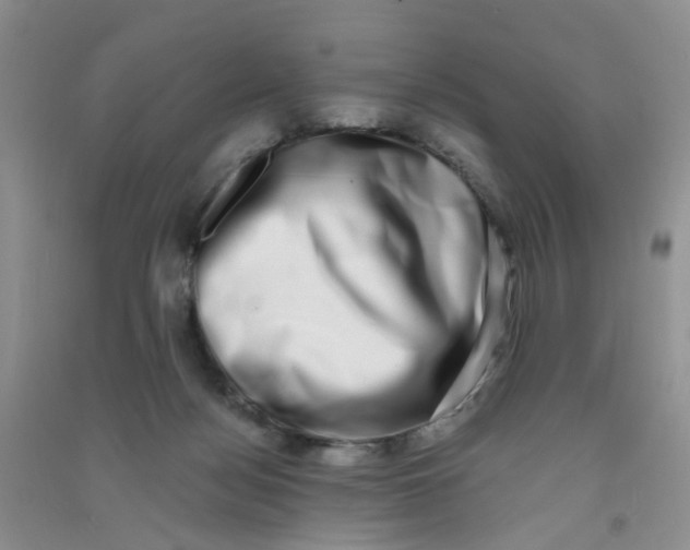 X0000090700172200708171853