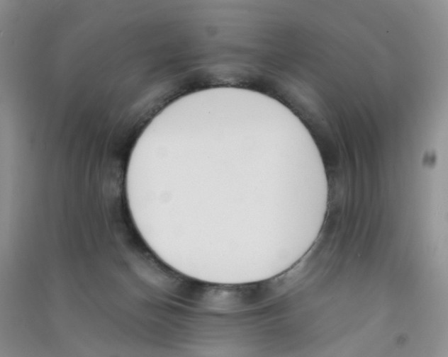 X0000090700174200708171853