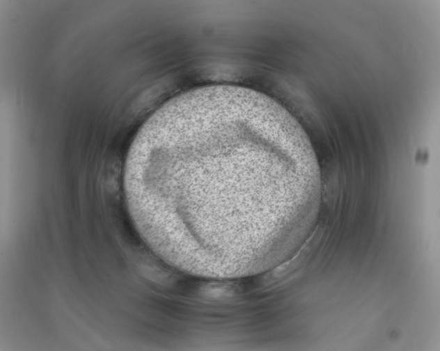 X0000090700175200708171853