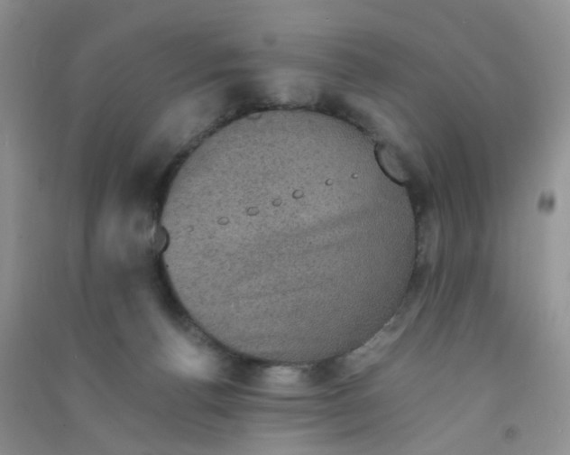 X0000090700176200708171853