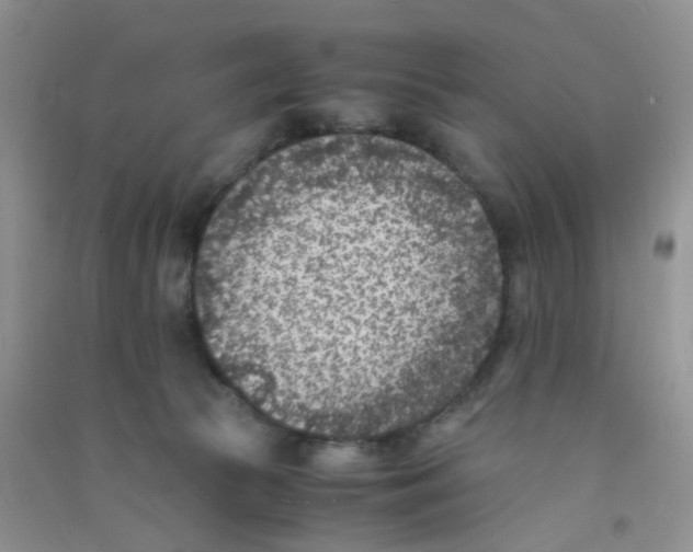 X0000090700177200708171853