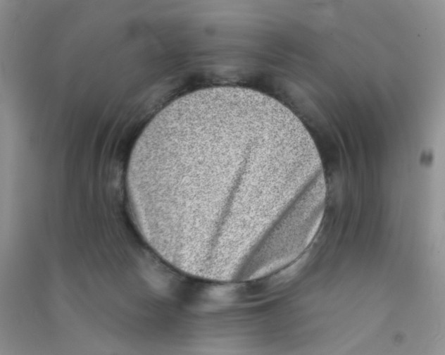 X0000090700178200708171854