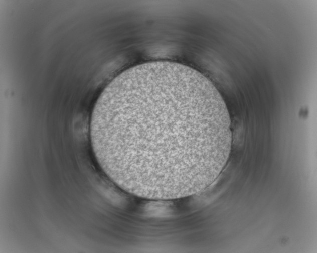 X0000090700179200708171854