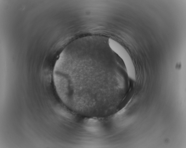 X0000090700180200708171854